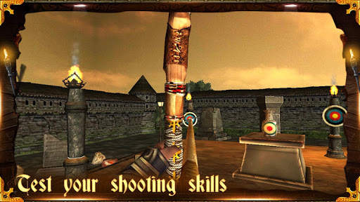 Archery 3D Pro screenshot 2