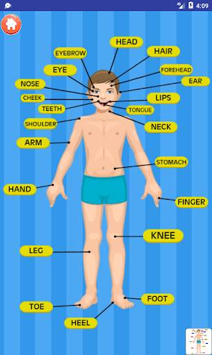Learn About Body Parts screenshot 5