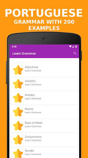 Portuguese Grammar OFFLINE скриншот 1