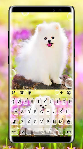 Cute White Dog कीबोर्ड पृष्ठभूमि स्क्रीनशॉट 1