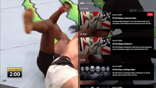 UFC screenshot 23
