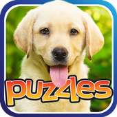 Free Dog Puzzles - Fun Game logo