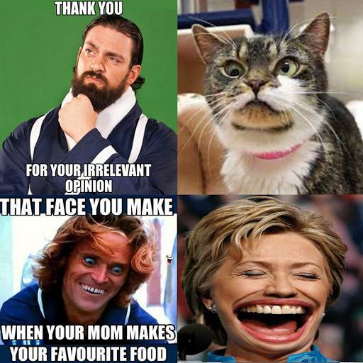 Free Funny Picture apps screenshot 11