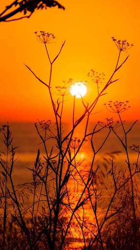Sunset HD Wallpapers screenshot 3