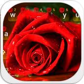 Red rose keyboard theme 10001003