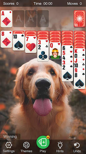 Solitaire Classic Klondike screenshot 27