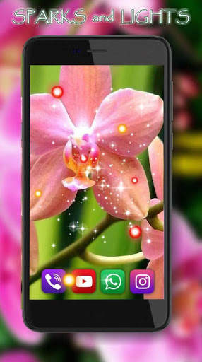 Orchids Photo screenshot 3