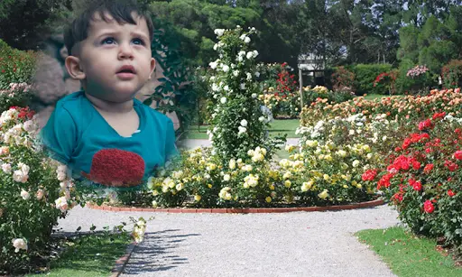 Beautiful Photo Frame Garden Photo Frame app screenshot 23