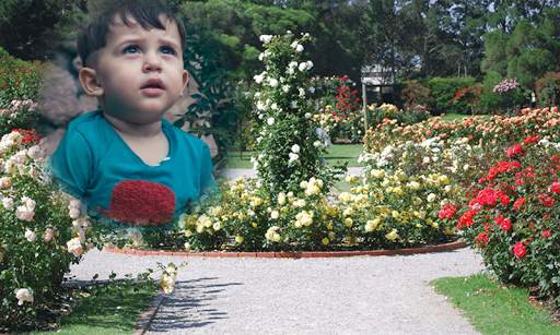 Beautiful Photo Frame Garden Photo Frame app screenshot 23