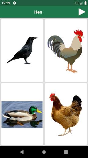 Learn Animals and Birds in English - Quiz screenshot 5