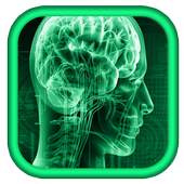 X - Ray Scanner Prank 1.1