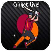 Cricket Update