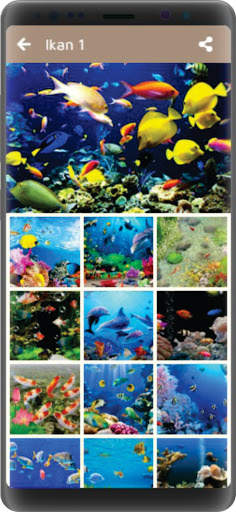 Wallpaper Ikan screenshot 2