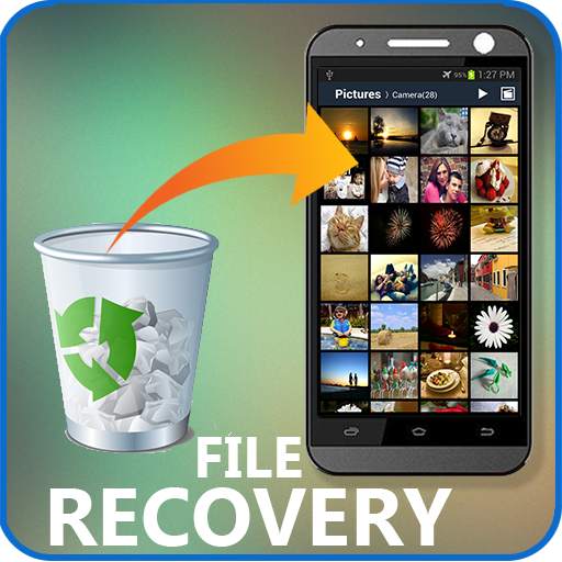 Recover Deleted Photos & Files - Free Disk Digger 1.1