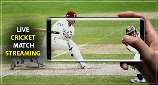 Live Cricket TV - Live Cricket Score screenshot 1