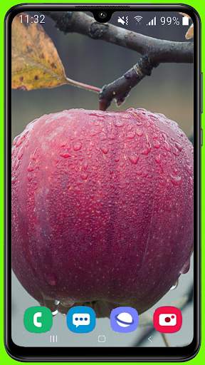 Fruit Apple Wallpaper HD screenshot 5