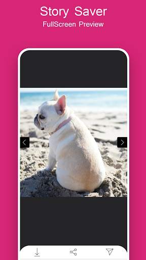 Story Downloader for Instagram screenshot 5