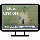 Live Cricket Tv Match 1.0