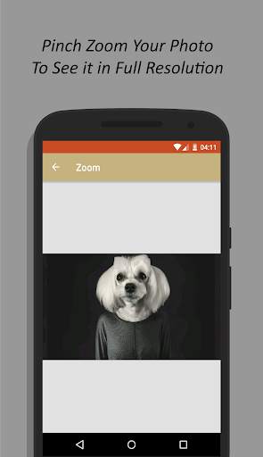 Dog Wallpaper HD screenshot 7