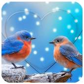 Birds Live Wallpaper 1.0
