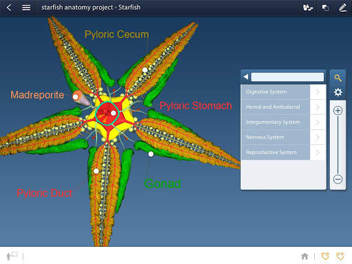 Animalia Educalabs screenshot 7