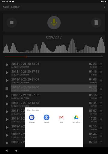 Audio Recorder (No Ads) screenshot 10