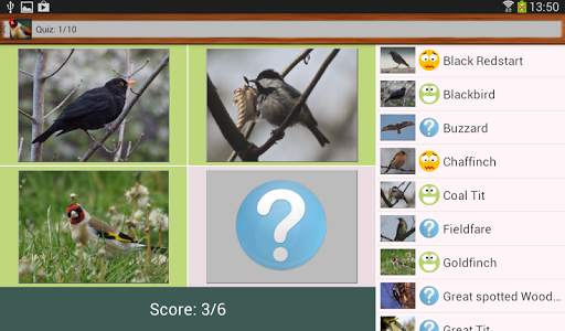 Birdquiz Free screenshot 8