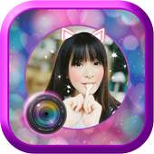 Camera Wink Plus HD 1.0