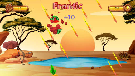 Fruit Cut Shooting screenshot 5