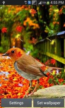 Cute Birds Live Wallpaper screenshot 7