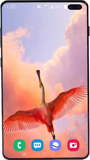 Flamingo Wallpaper HD screenshot 8