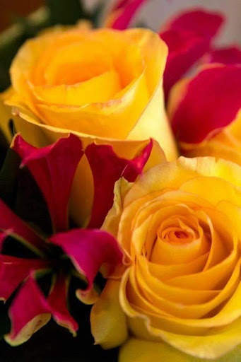 Flowers and Roses Live Wallpaper screenshot 2