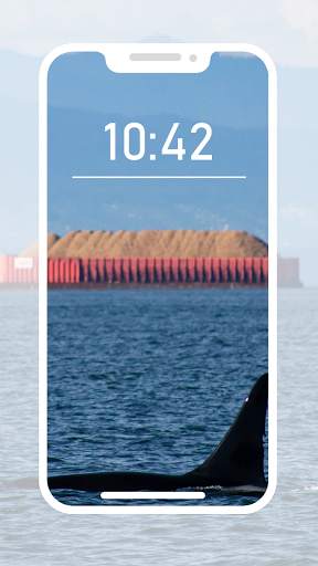 Orca Wallpapers screenshot 4