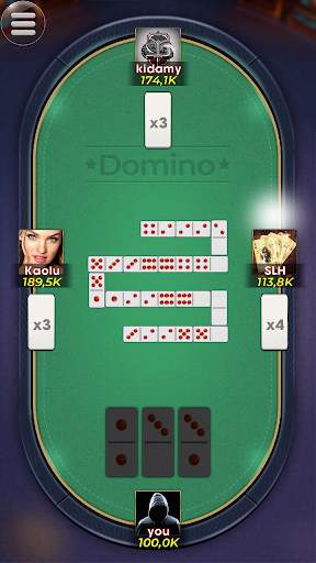 Domino screenshot 6