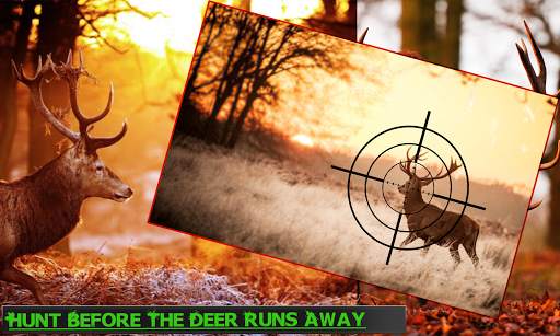 CLASSIC DEER HUNTER GAMES screenshot 1