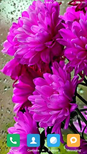 Flower Live Wallpaper screenshot 2