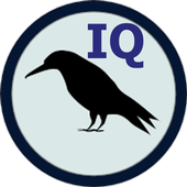Raven IQ Test icon