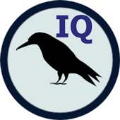 Raven IQ Test on 9Apps