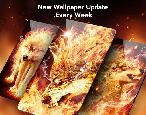 Fire Wolf Live Wallpaper & Launcher Themes screenshot 2