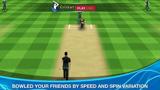Cricket Multiplayer screenshot 2