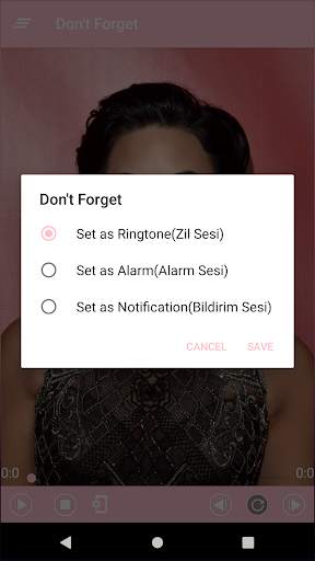 Demi Lovato Best Music(Offline) & Ringstones screenshot 4