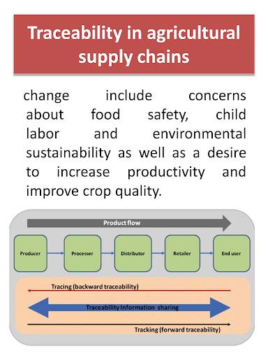 Logistic Supply Chain Management - educational app screenshot 2