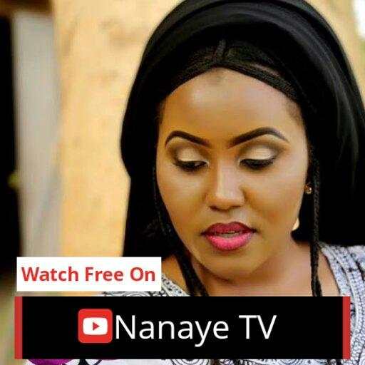 Nanaye TV 2.0.1