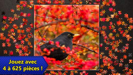 Jigsaw Puzzles Epic screenshot 15