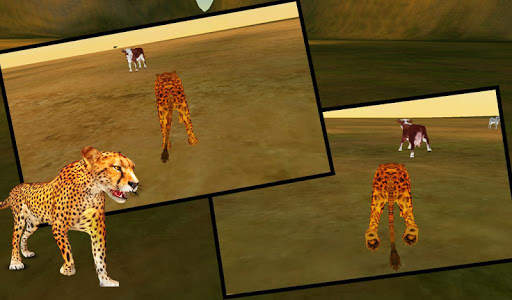 Cheetah Simulator 2018 3D screenshot 4