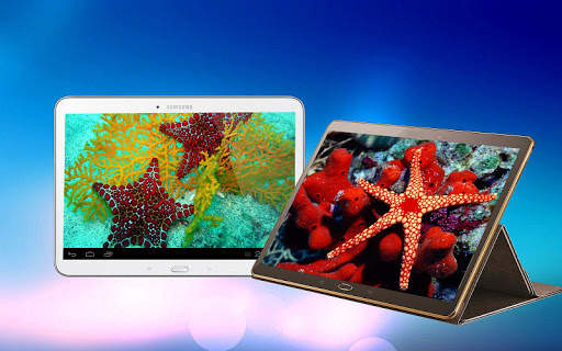 Starfish 3D Free Live Wallpaper screenshot 4