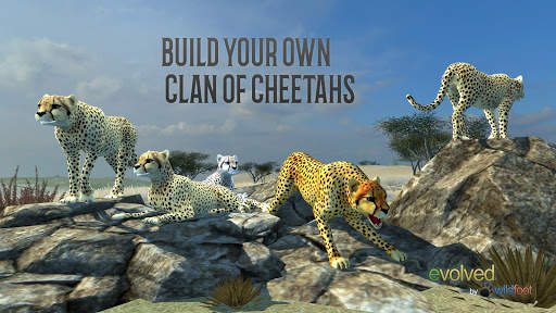 Clan of Cheetahs screenshot 3