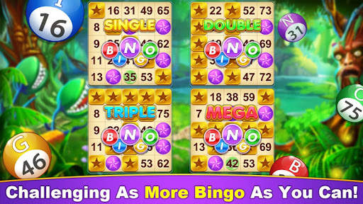 Bingo Romance - Play Free Bingo Games Offline 2021 screenshot 3