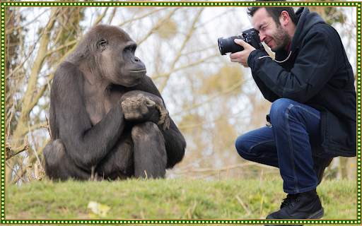 Wild Animal Photo Editor - Photo Frames screenshot 5