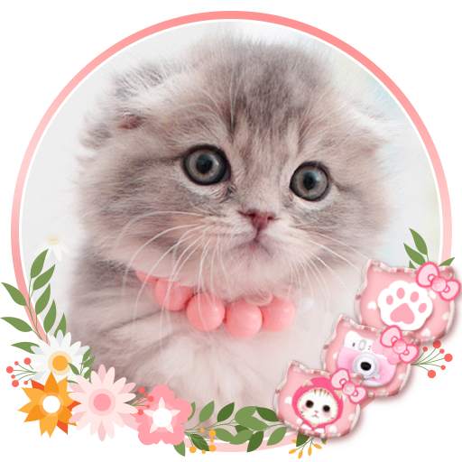 Cute Cat Live Launcher Theme 3 1.0